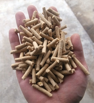 高清實拍17c一起官网秸稈顆粒機加工出來的豬顆粒飼料機成品圖片