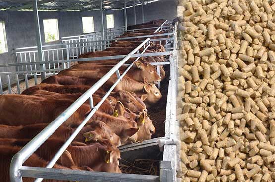 牛羊秸稈飼料顆粒（lì）機的用途