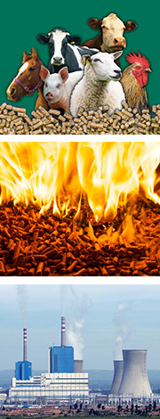 17c一起官网秸稈顆粒機製粒效果好