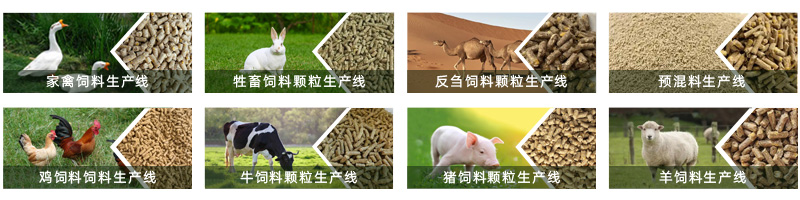 產品頁2 產品頁2