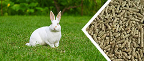 牲畜飼料顆粒生產線