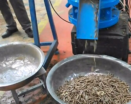 小型魚飼料顆粒機加工視頻（pín）