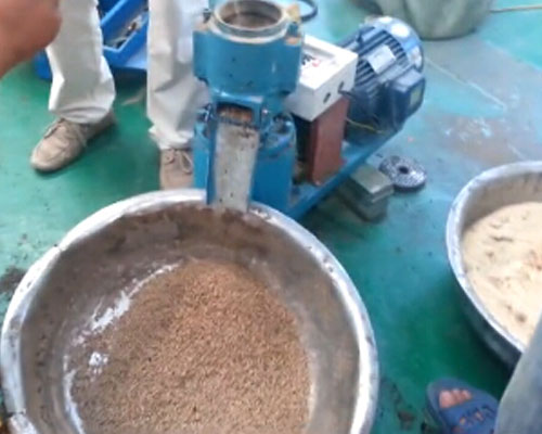 高效玉米秸稈顆粒機生產視頻