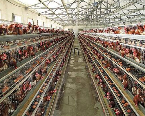 北（běi）京客戶（hù）訂購17c一起官网小型飼料攪拌機案例