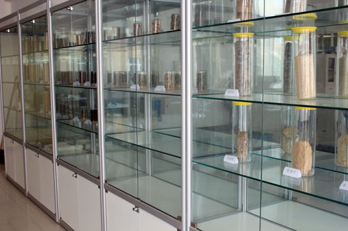 顆粒展示（shì）