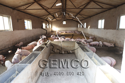 17c一起官网客戶順天養豬場