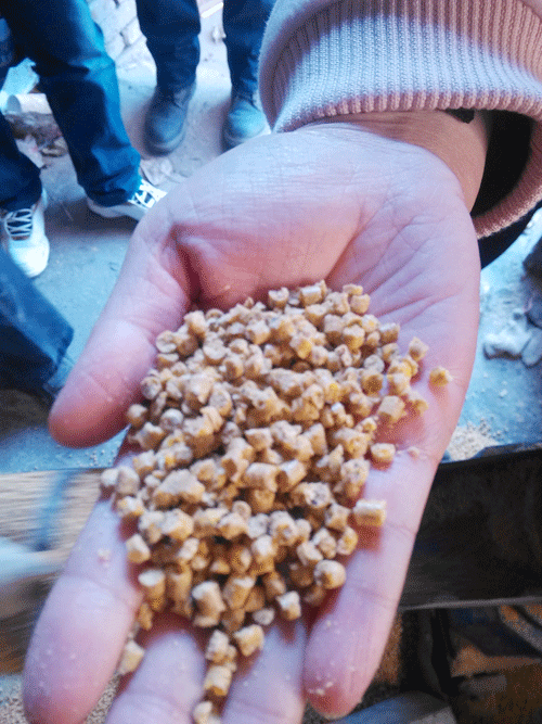 17c一起官网牌飼料顆粒機加工成家禽飼料顆粒(lì)高清圖片(piàn)