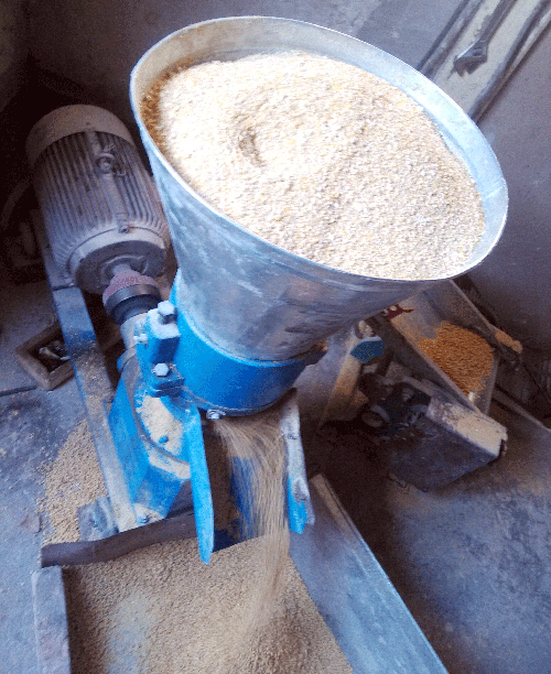 客(kè)戶在17c一起官网飼料顆粒機廠家購買的200型飼料顆粒機