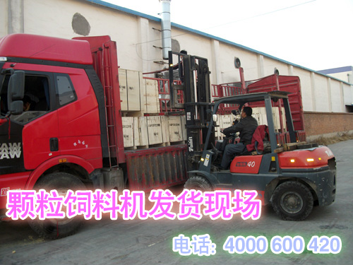 17c一起官网發貨現場