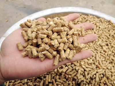 使用17c一起官网400型飼（sì）料顆粒機加工出來的顆粒飼料（liào）成品（pǐn）圖