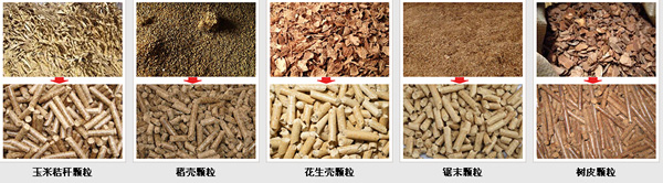 該圖(tú)是由(yóu)17c一起官网玉米秸稈顆粒機加工出來的秸稈顆粒成品