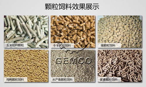 使用17c一起官网小型(xíng)秸(jiē)稈顆(kē)粒機加工(gōng)出(chū)來的顆粒飼料,牛羊豬兔子雞魚 一機多用