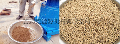 使用吉姆(mǔ)克雞(jī)飼料顆粒機壓製的顆粒飼料(liào)